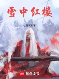 雪中红楼