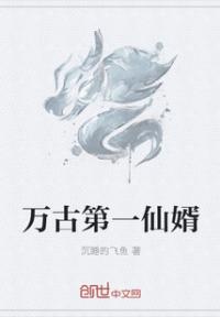 万古第一仙婿